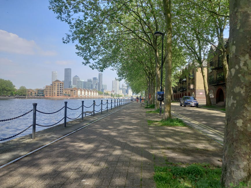 A scenic riverside promenade with a paved walkway shaded by tall, leafy green trees, along the River Thames in Paddington. The scene features a row of black metal bollards connected by chains along th