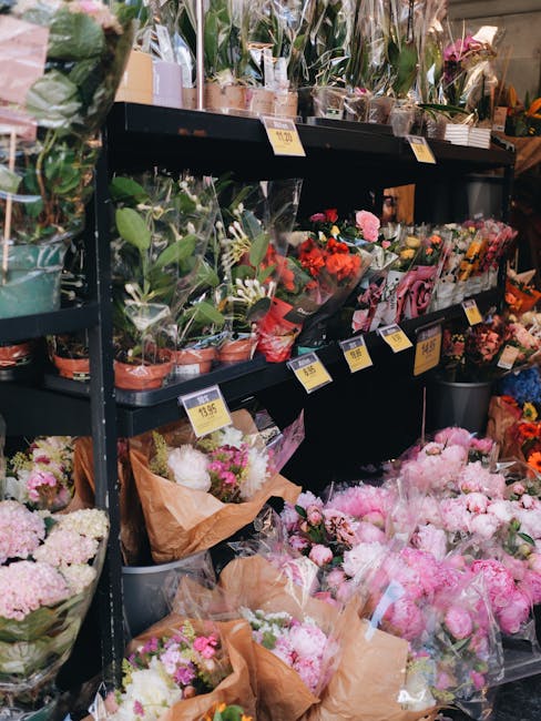 An interior view of a floral shop on Sussex Gardens and Edgware Road, Paddington, showcasing an array of fresh flowers arranged in bouquets and potted plants. The display includes vibrant pink peonies