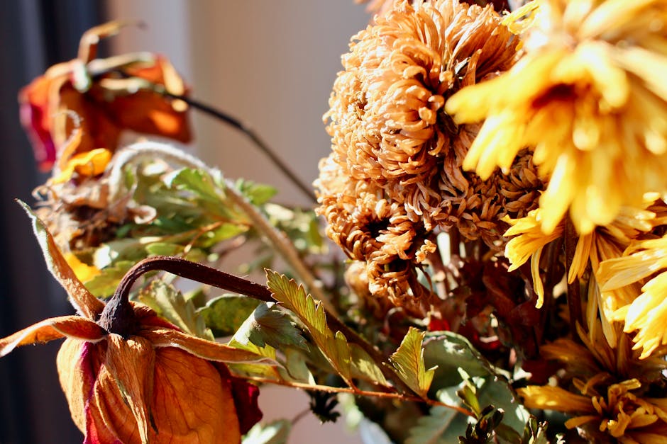 A close-up of a wilted floral arrangement featuring dried and fading flowers, including yellow chrysanthemum petals, brown and beige chrysanthemums, and brown-stemmed leaves. The bouquet is arranged i